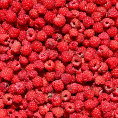 Ahududu arka plan fotoğraf