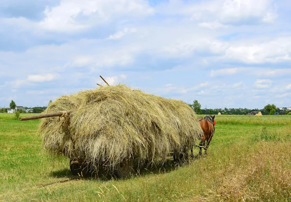 Transport von Heu mit einem Karren in einer Sommerlandschaft — Stockfoto