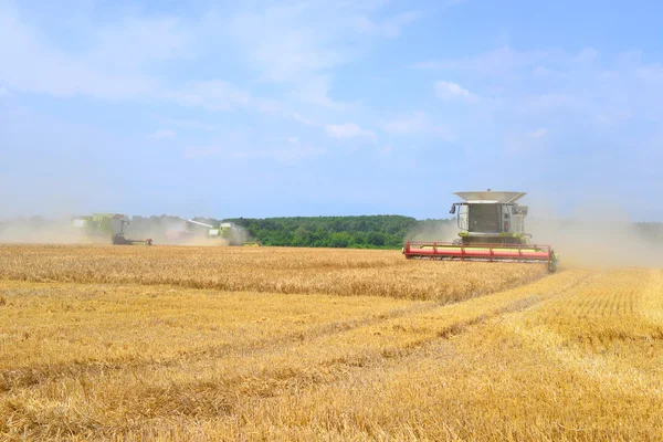 Grain skörd kombinera i ett landsbygdens landskap. — Stockfoto