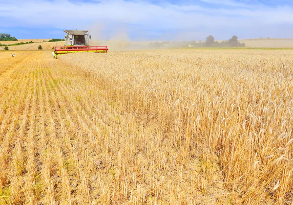 Grain skörd kombinera i ett landsbygdens landskap. — Stockfoto