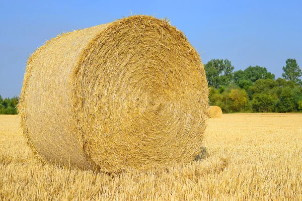 Harvesting of straw in the rural landscape — Stock Photo, Image