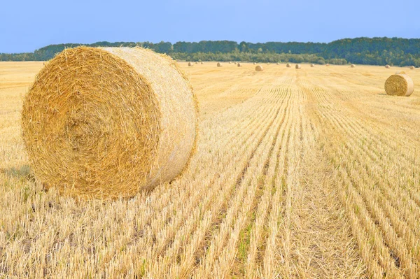 Récolte de paille dans le paysage rural — Photo
