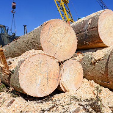 Hazırlık ve ahşap depo endüstriyel bir peyzaj.