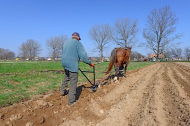 Atlı üzerinde el ile pulluk tarafından bir bahar alan nadas
