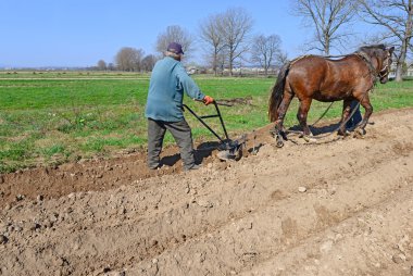 Fallowing of a spring field by a manual plow on horse-drawn clipart