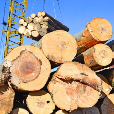 Hazırlık ve ahşap depo endüstriyel bir peyzaj.