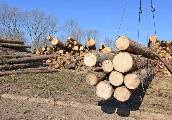 Voorbereiding en hout opslag in een industrieel landschap. — Stockfoto