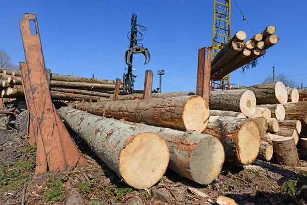 Voorbereiding en hout opslag in een industrieel landschap. — Stockfoto