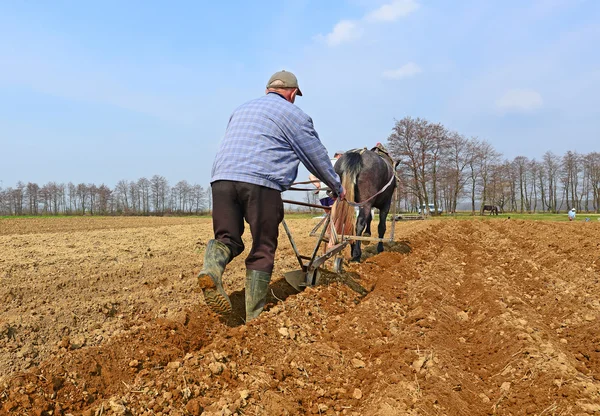 Maggese di un campo di primavera da un aratro manuale su trainato da cavalli — Foto Stock