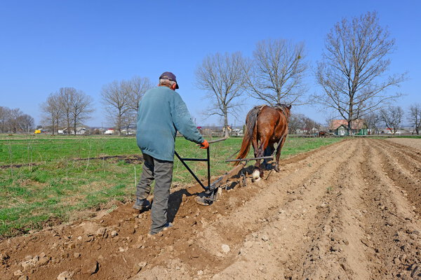 Fallowing of a spring field by a manual plow on horse-drawn