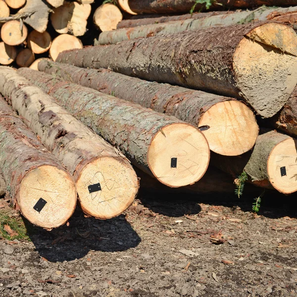 Aufbereitung und Holzlagerung in einer industriellen Landschaft. — Stockfoto