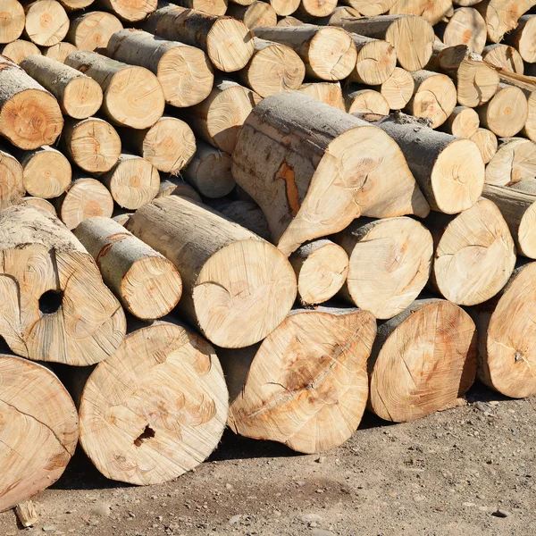 Bir kayın endüstriyel bir manzara içinde blok