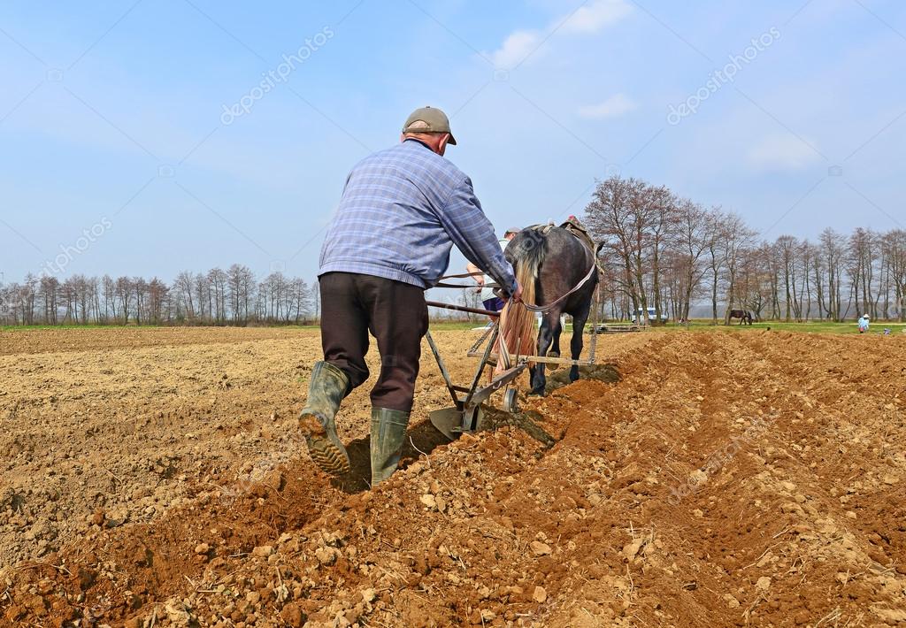 Blond plough downloadgvideos blog