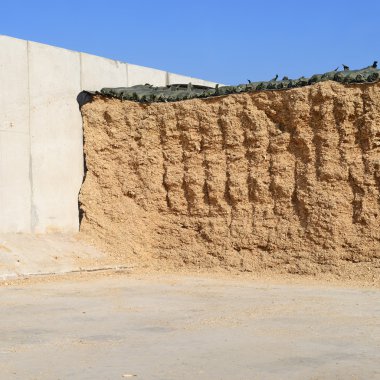 Bir hendek silo depolama siloları
