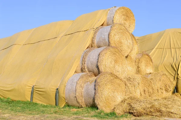 Balle di paglia sul deposito a terra sotto la tenda — Foto Stock