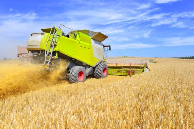 . Tahıl hasat kırsal manzara içinde birleştirme