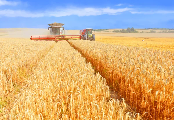 Tahıl hasat traktör römork tahıl tankına aşırı yükleme