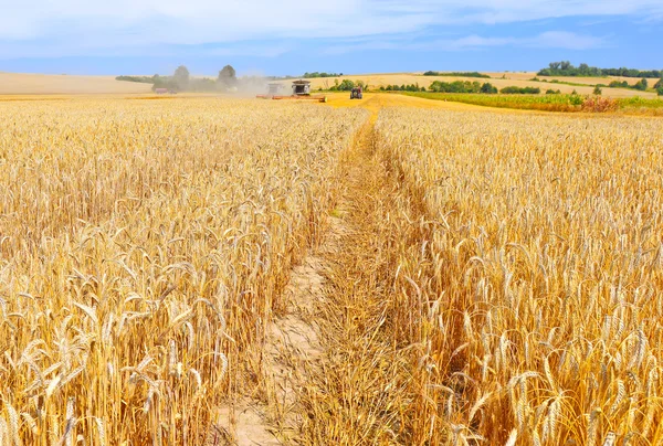 . Raccolta dei cereali si combinano in un paesaggio rurale — Foto Stock