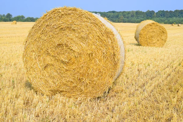 田園風景の中での藁の収穫 — ストック写真
