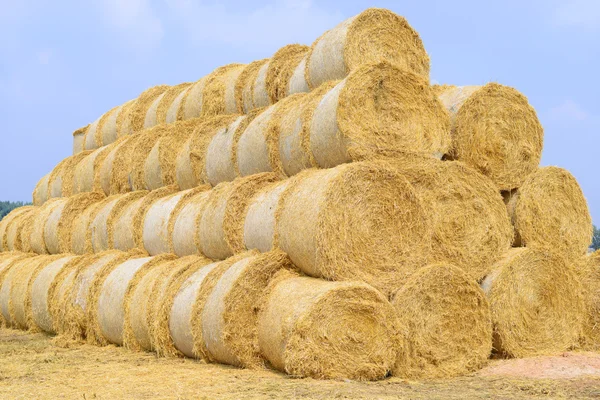 Bales de paja en el almacenamiento en tierra — Foto de Stock