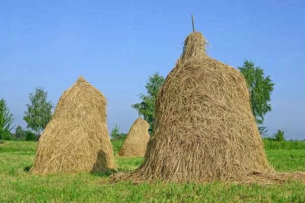 El heno en las pilas en el paisaje veraniego rural — Foto de Stock