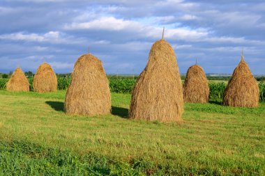 Bir yaz kırsal manzara samanlıkta