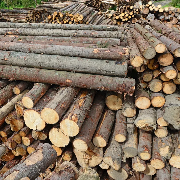 Preparación y almacenamiento de madera en un paisaje industrial . — Foto de Stock