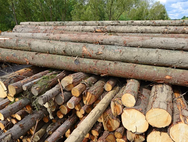 Preparazione e deposito del legno in un paesaggio industriale . — Foto Stock