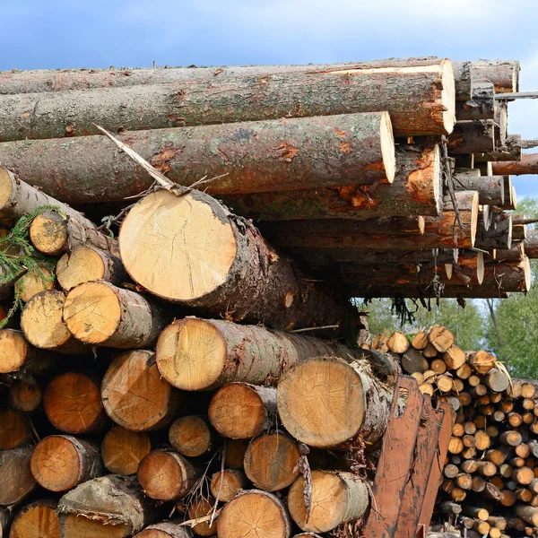 Förberedelse och trä lagring i ett industriellt landskap. — Stockfoto