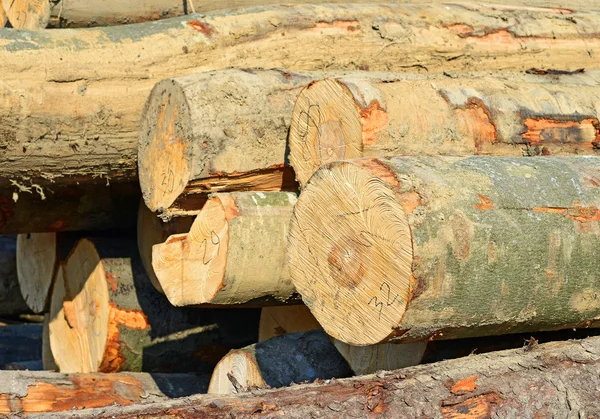 Voorbereiding en hout opslag in een industrieel landschap. — Stockfoto