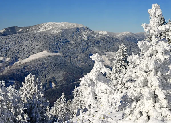 Hiver sur une colline dans un paysage de montagne . — Photo