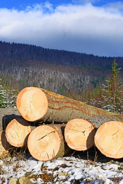 Förberedelse och trä lagring i ett industriellt landskap. — Stockfoto