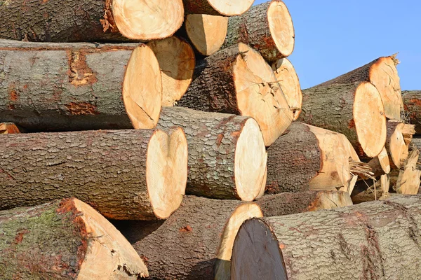 Aufbereitung und Holzlagerung in einer industriellen Landschaft. — Stockfoto