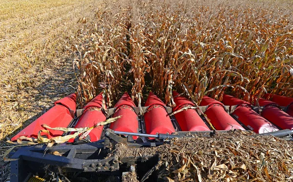 комбайн для збору кукурудзи