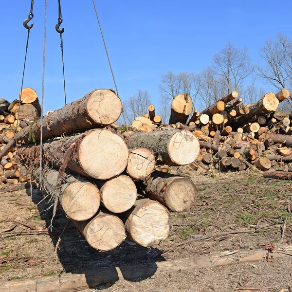 Voorbereiding en hout opslag in een industrieel landschap. — Stockfoto