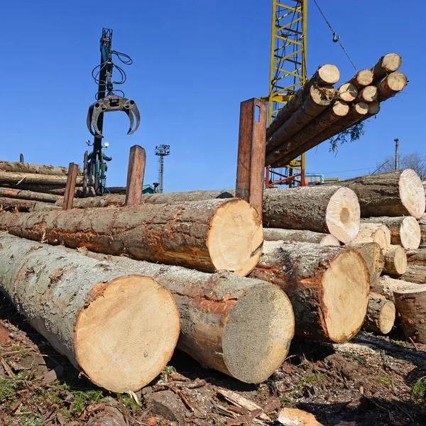 Förberedelse och trä lagring i ett industriellt landskap. — Stockfoto