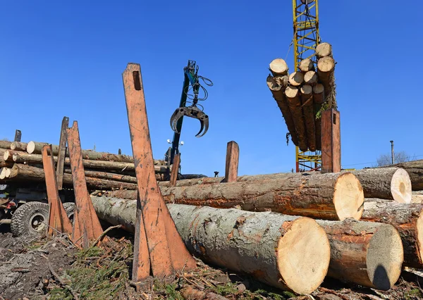 Preparazione e deposito del legno in un paesaggio industriale . — Foto Stock