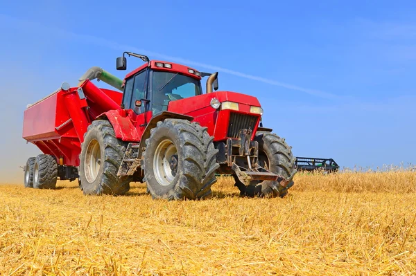 Tracteur avec réservoir pour le transport du grain — Photo