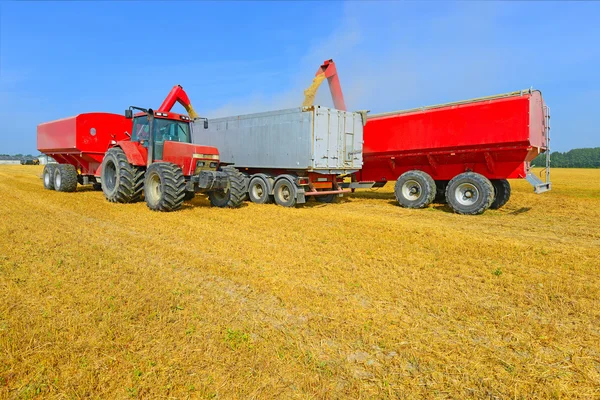 Getreidesilo mit Traktor in Auto überladen — Stockfoto