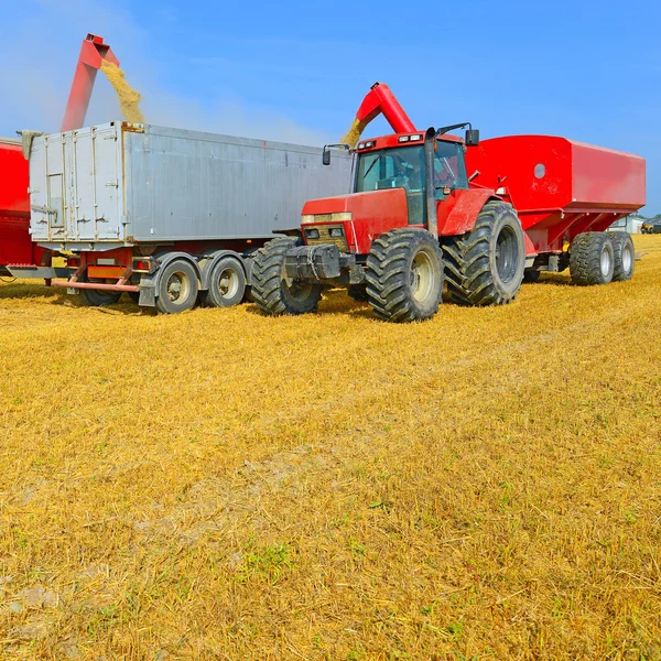 Перегрузка зернохранилища трактором в автомобиле — стоковое фото