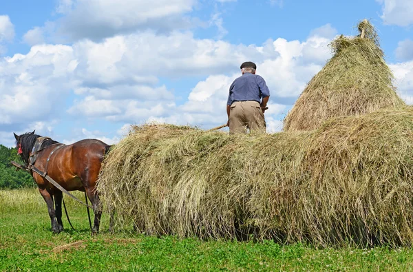 Přeprava sena o vozík v letní krajina — Stock fotografie