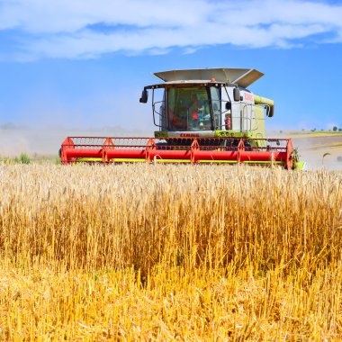 . Tahıl hasat kırsal manzara içinde birleştirme