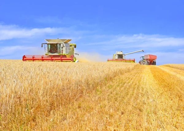 . Raccolta dei cereali si combinano in un paesaggio rurale — Foto Stock