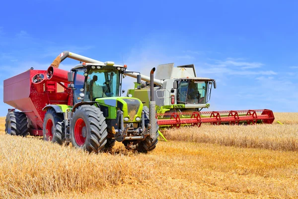 Getreidevollernter überladen in den Getreidetank des Traktoranhängers — Stockfoto