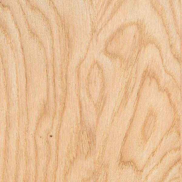 Un fragmento de un panel de madera de madera dura — Foto de Stock