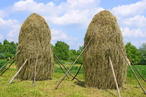 Hay in stacks in a summer rural landscape — Stock Photo, Image