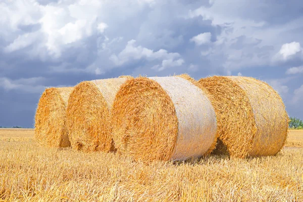 Colheita de palha na paisagem rural — Fotografia de Stock