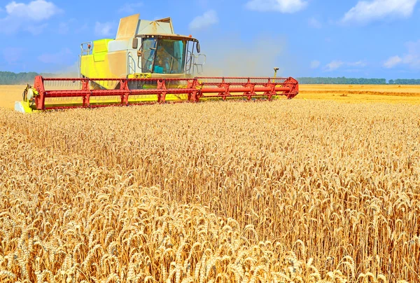 Colheita de grãos combinar em uma paisagem rural — Fotografia de Stock