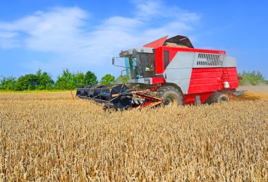Tahıl hasat Birleştir