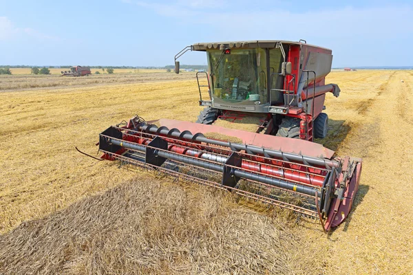 . 農村景観におけるコンバインの収穫の穀物. — ストック写真